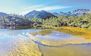 　螺髻山仙草湖。 涼山在線.jpg